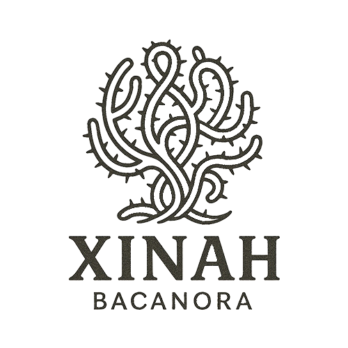 Xinah Bacanora