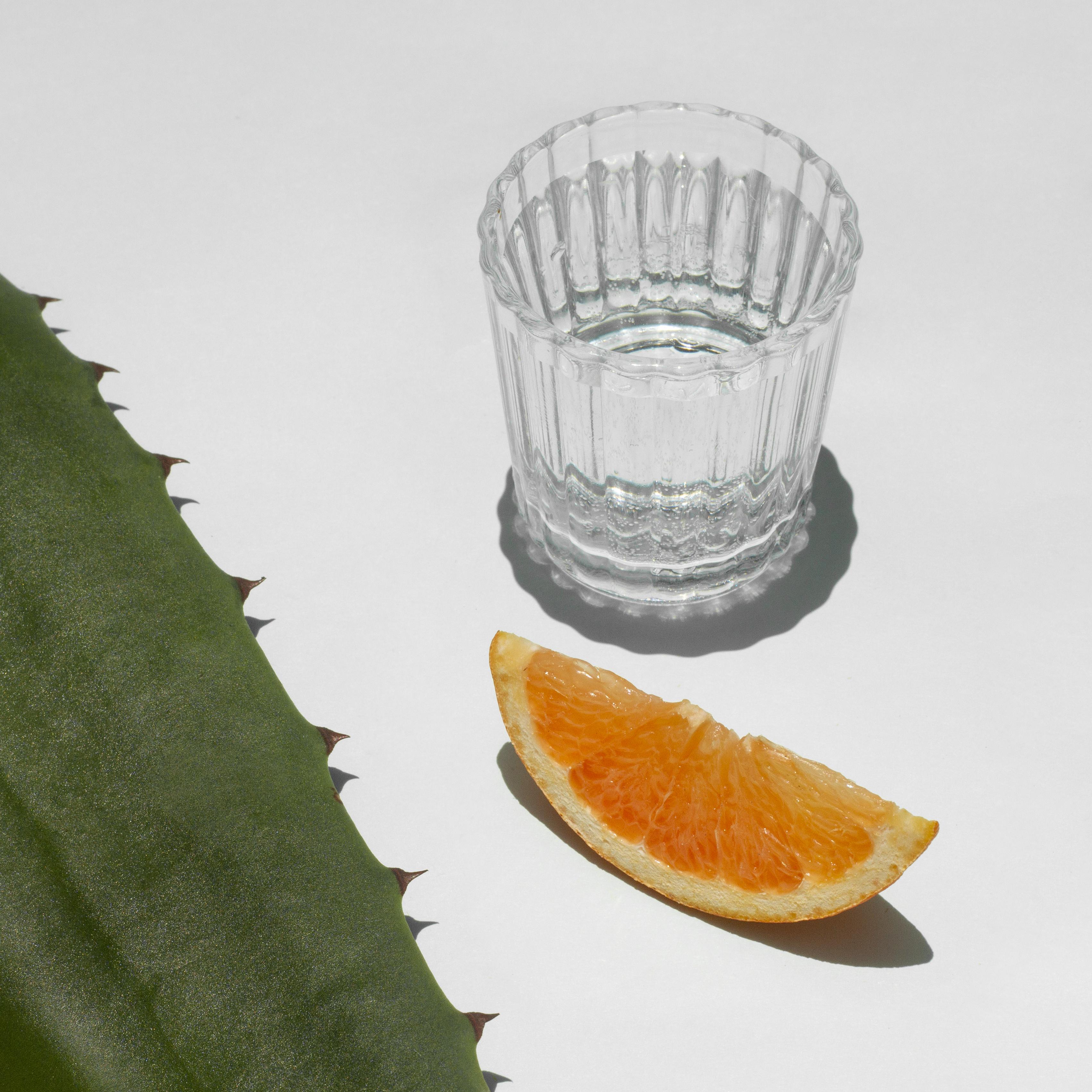 Mezcalovers Fest